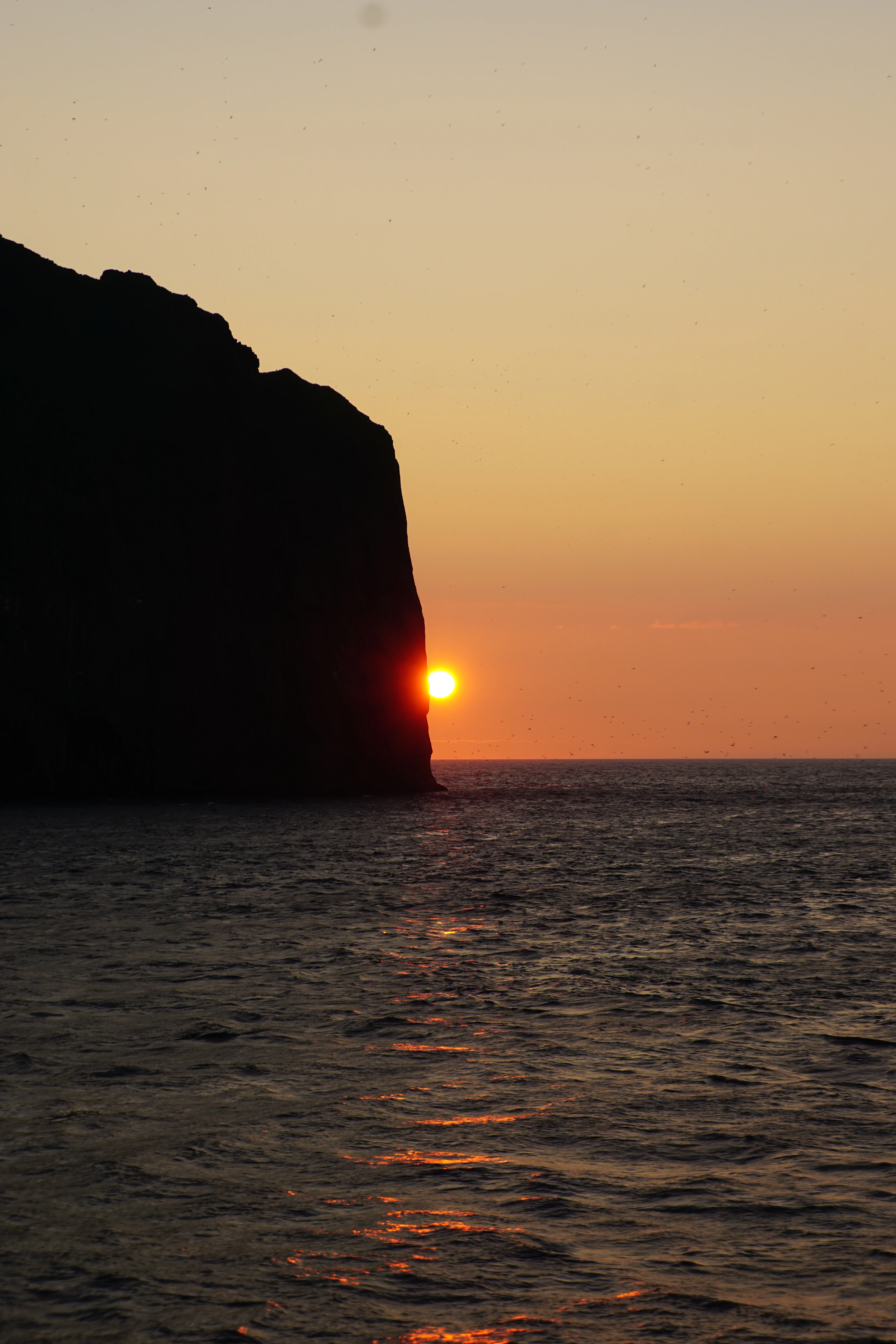 ISO 100 55mm ƒ8 125s