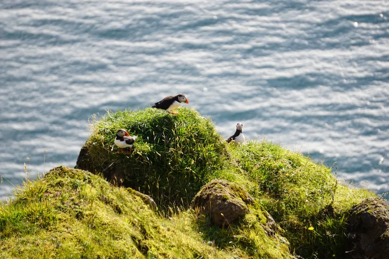 ISO 250 210mm ƒ6.3 400s