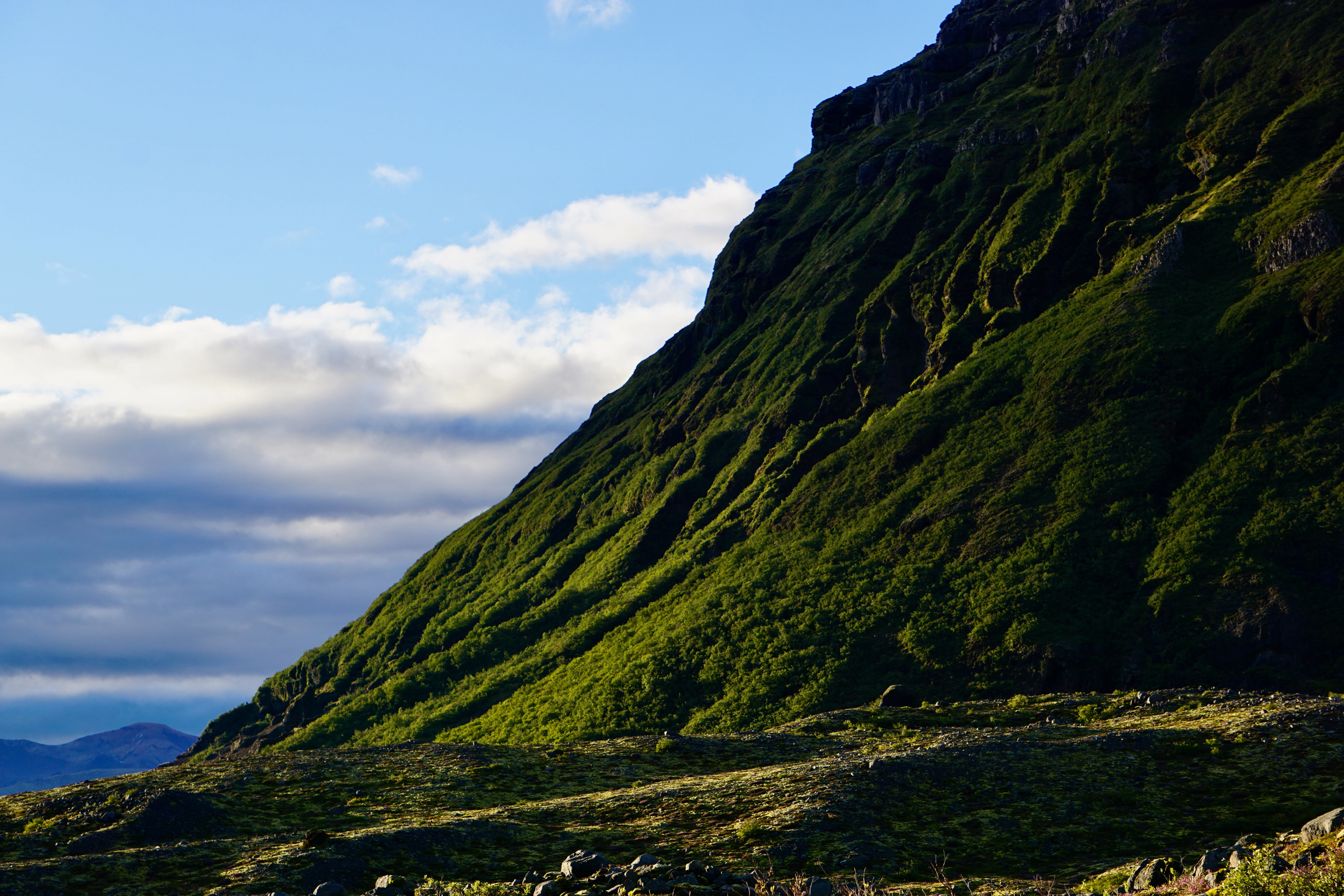 ISO 100 55mm ƒ8 125s