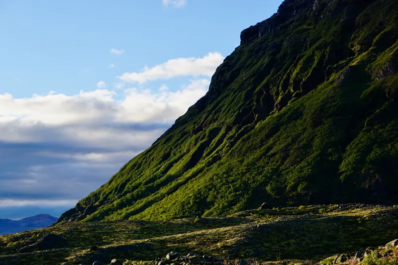 ISO 100 55mm ƒ8 125s