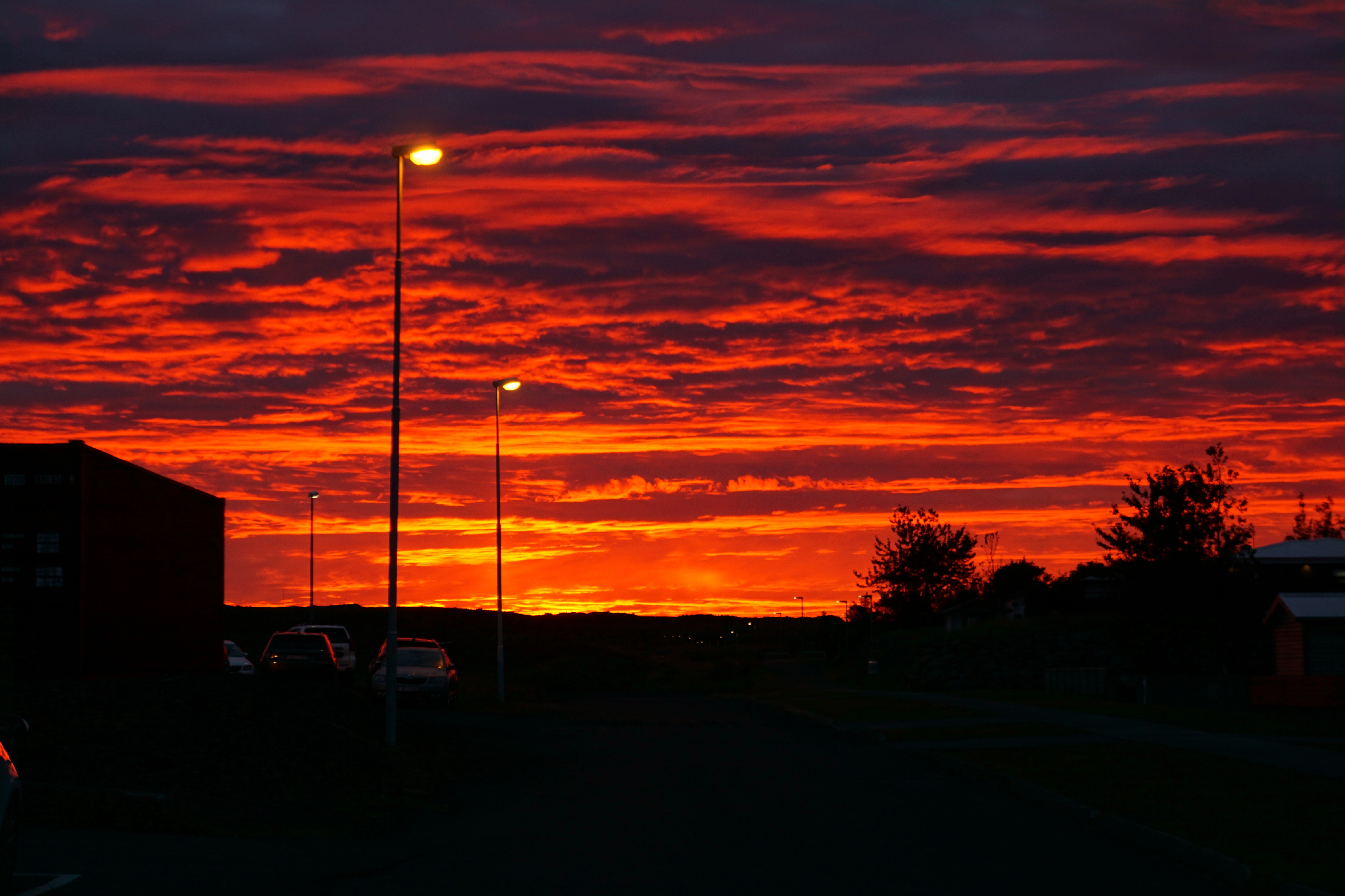 ISO 320 &nbsp 55mm &nbsp ƒ5.6 &nbsp 1/100s