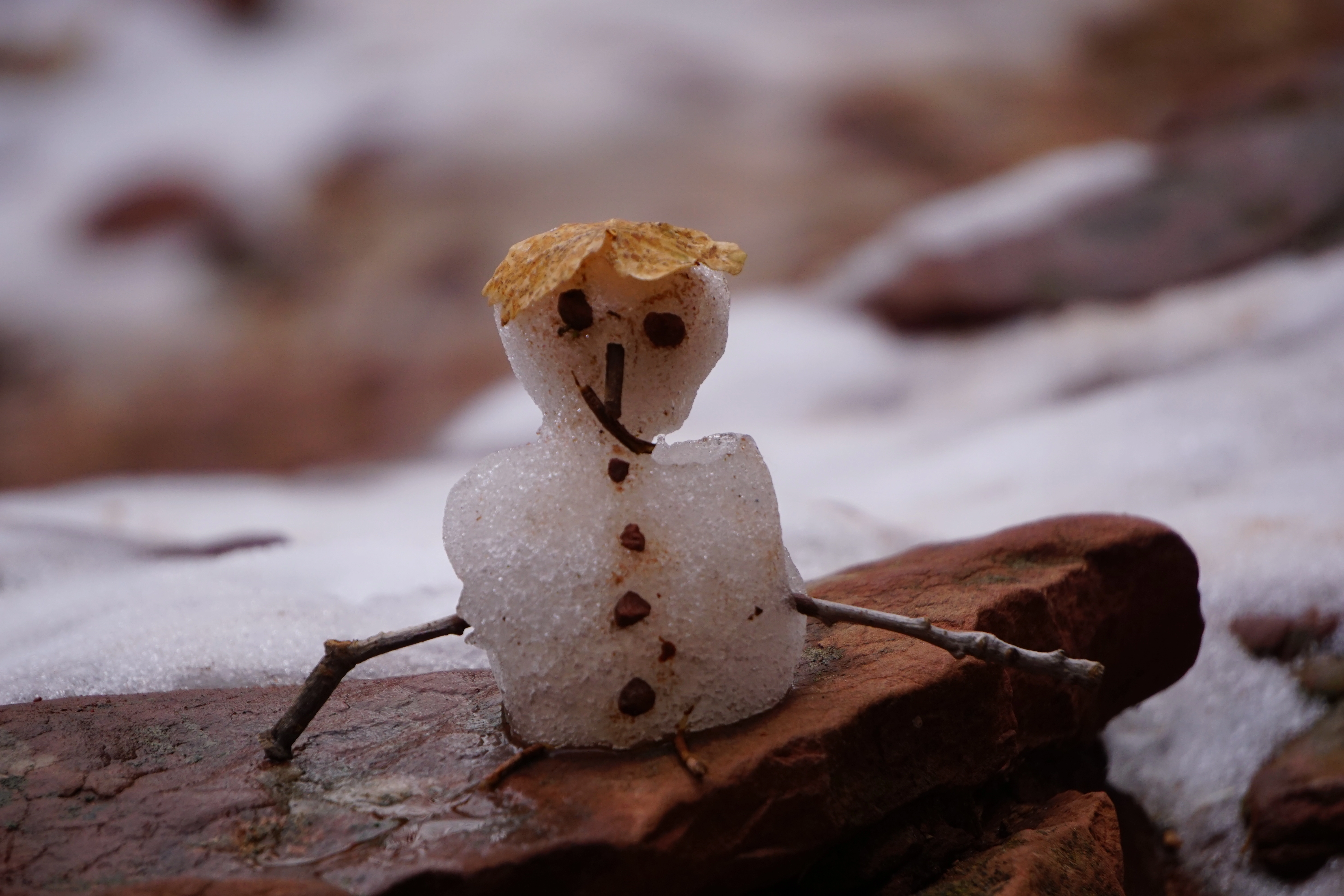 ISO 400 &nbsp 210mm &nbsp ƒ6.3 &nbsp 1/400s