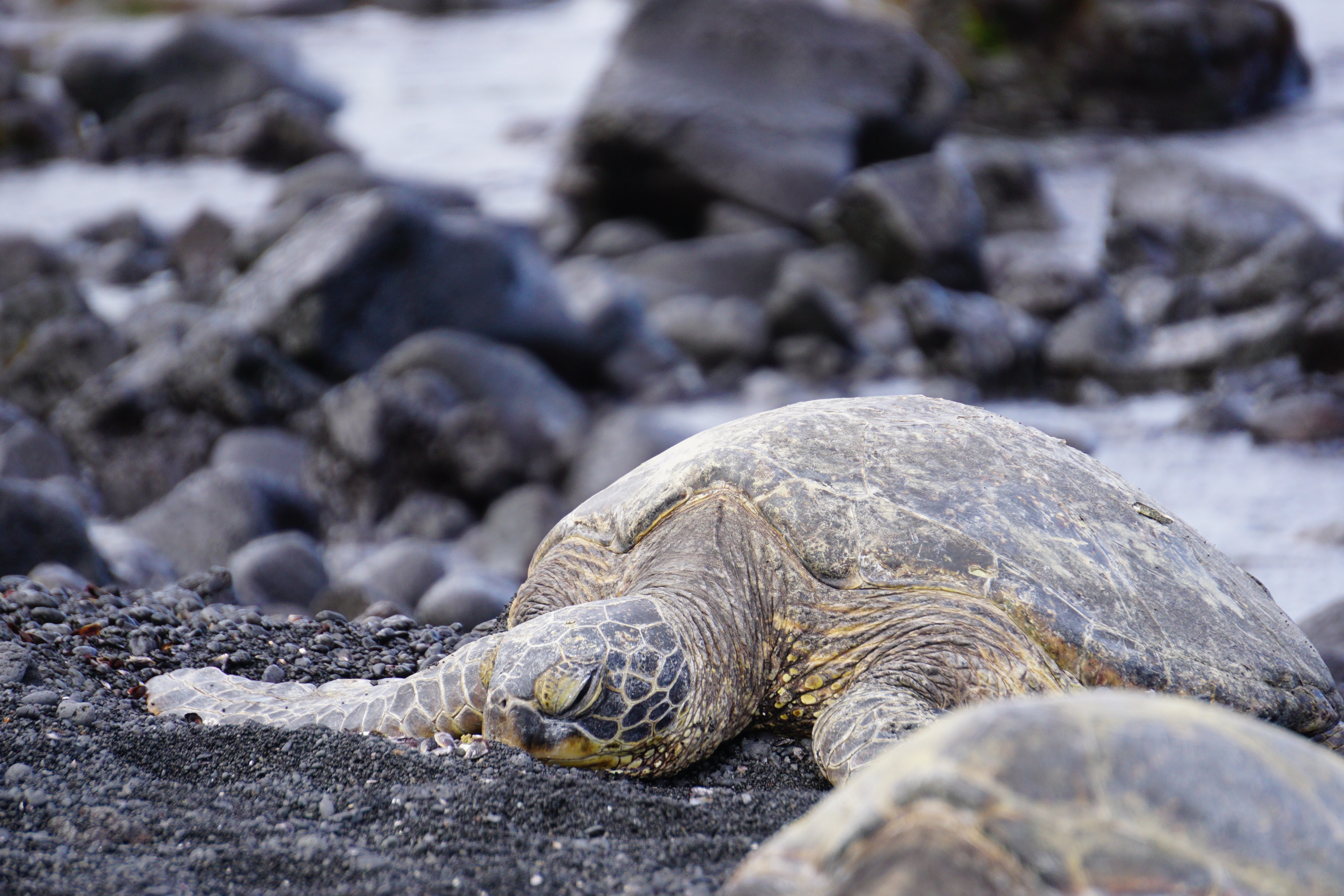 ISO 400 210mm ƒ6.3 400s