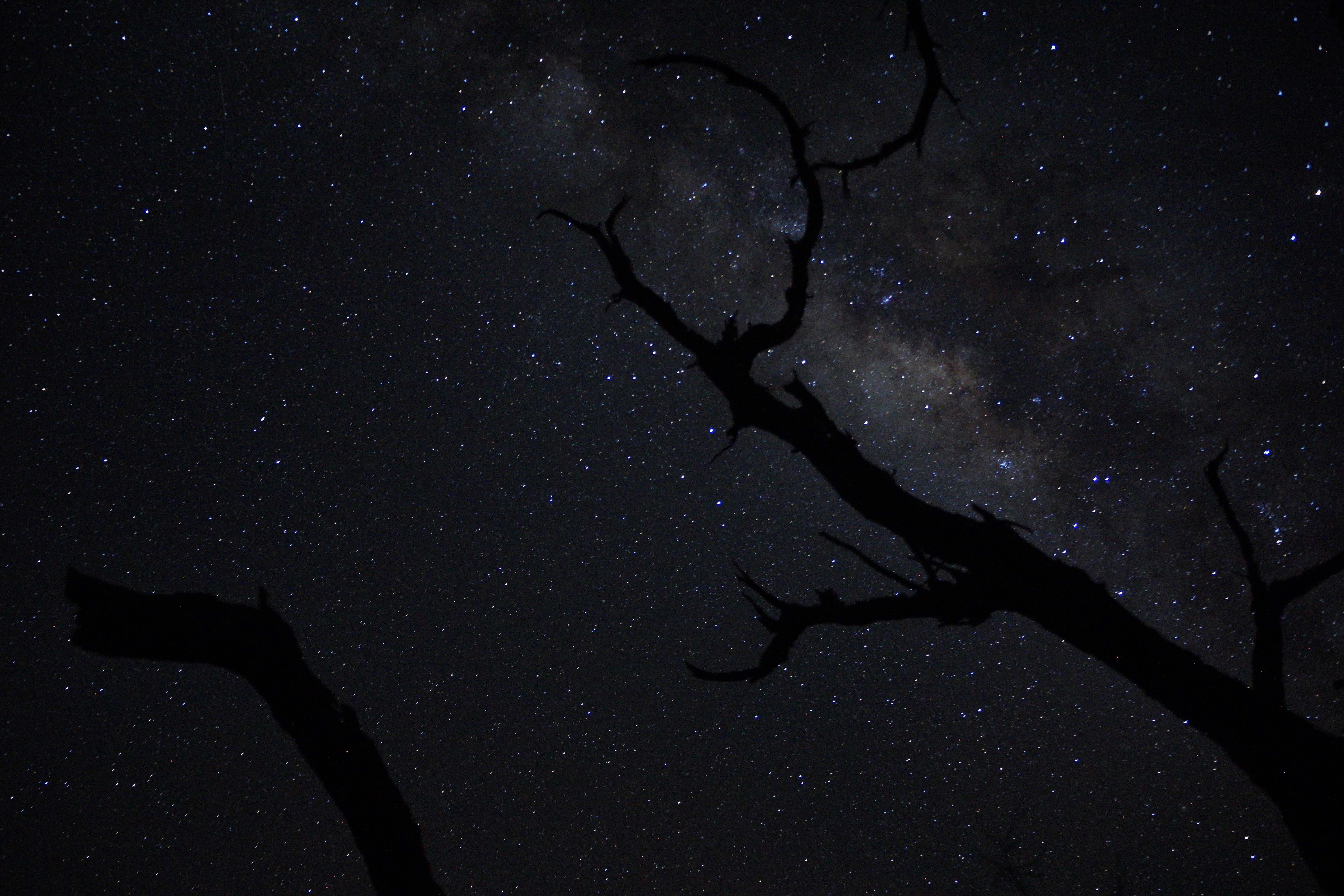 ISO 3200 &nbsp 18mm &nbsp ƒ3.5 &nbsp 20s