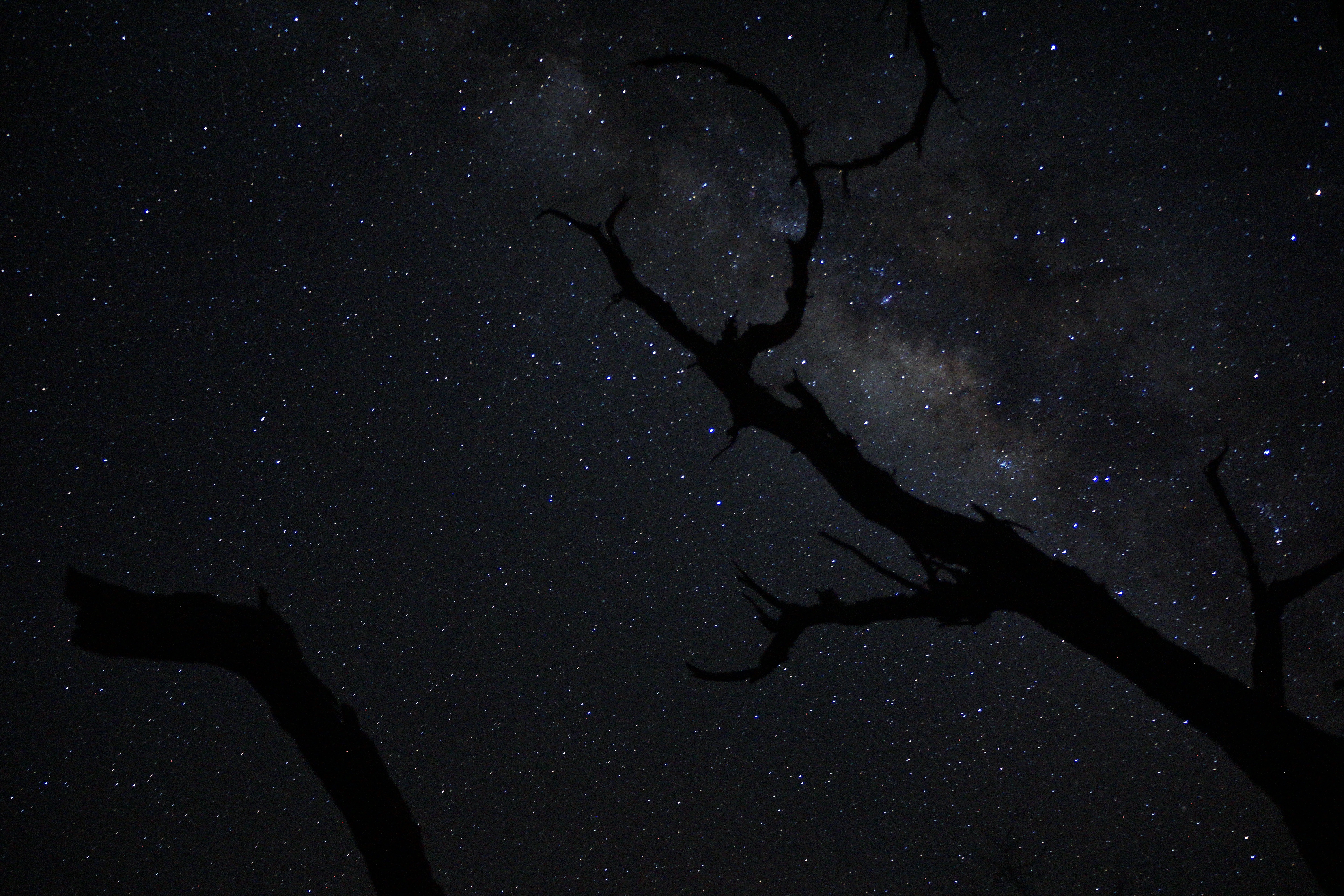 ISO 3200 18mm ƒ3.5 1/20s