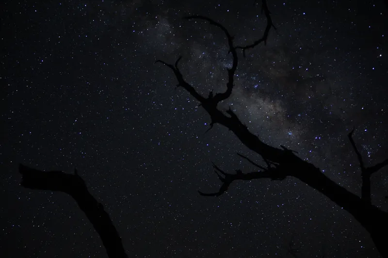 ISO 3200 18mm ƒ3.5 1/20s