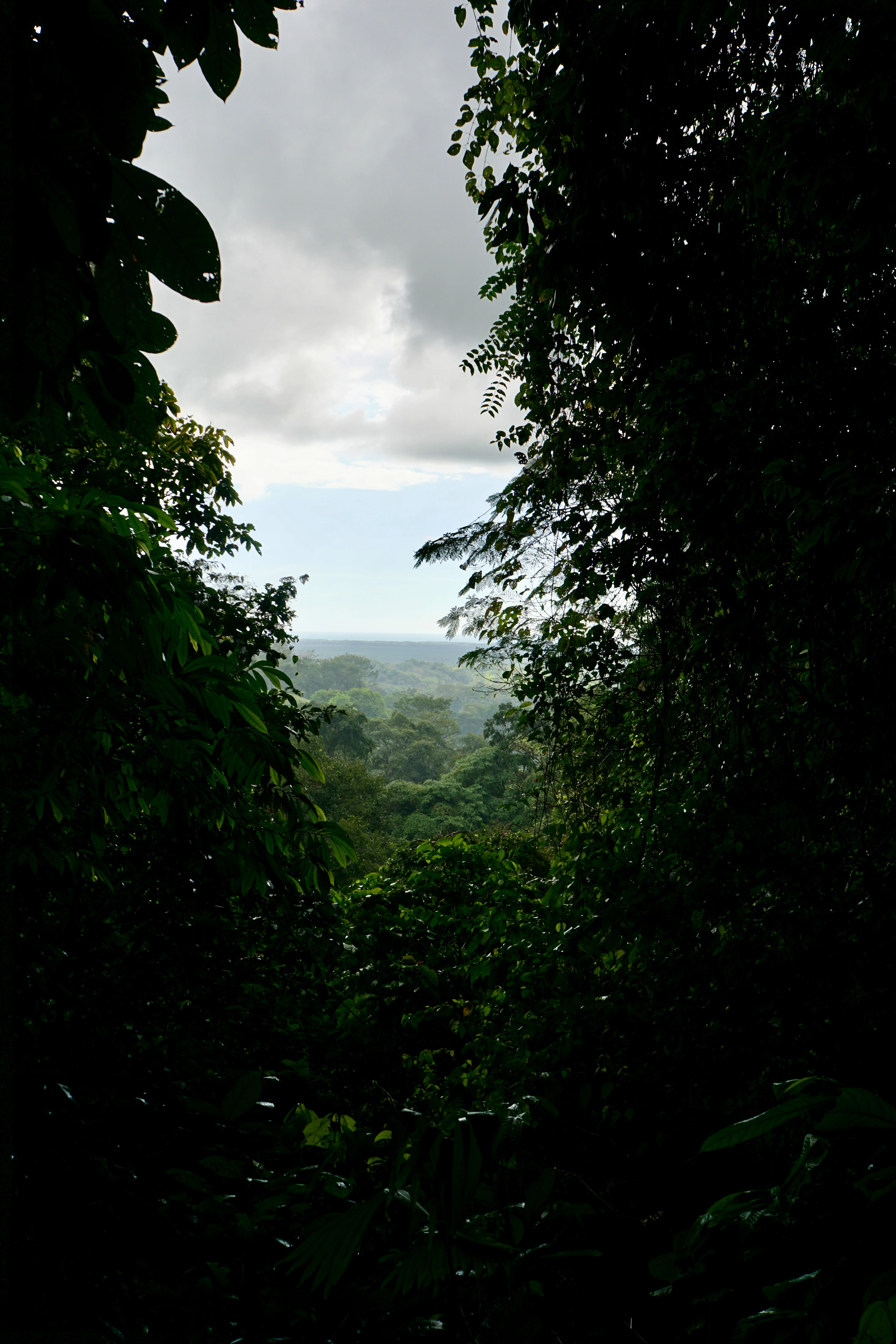 ISO 100 18mm ƒ8 125s