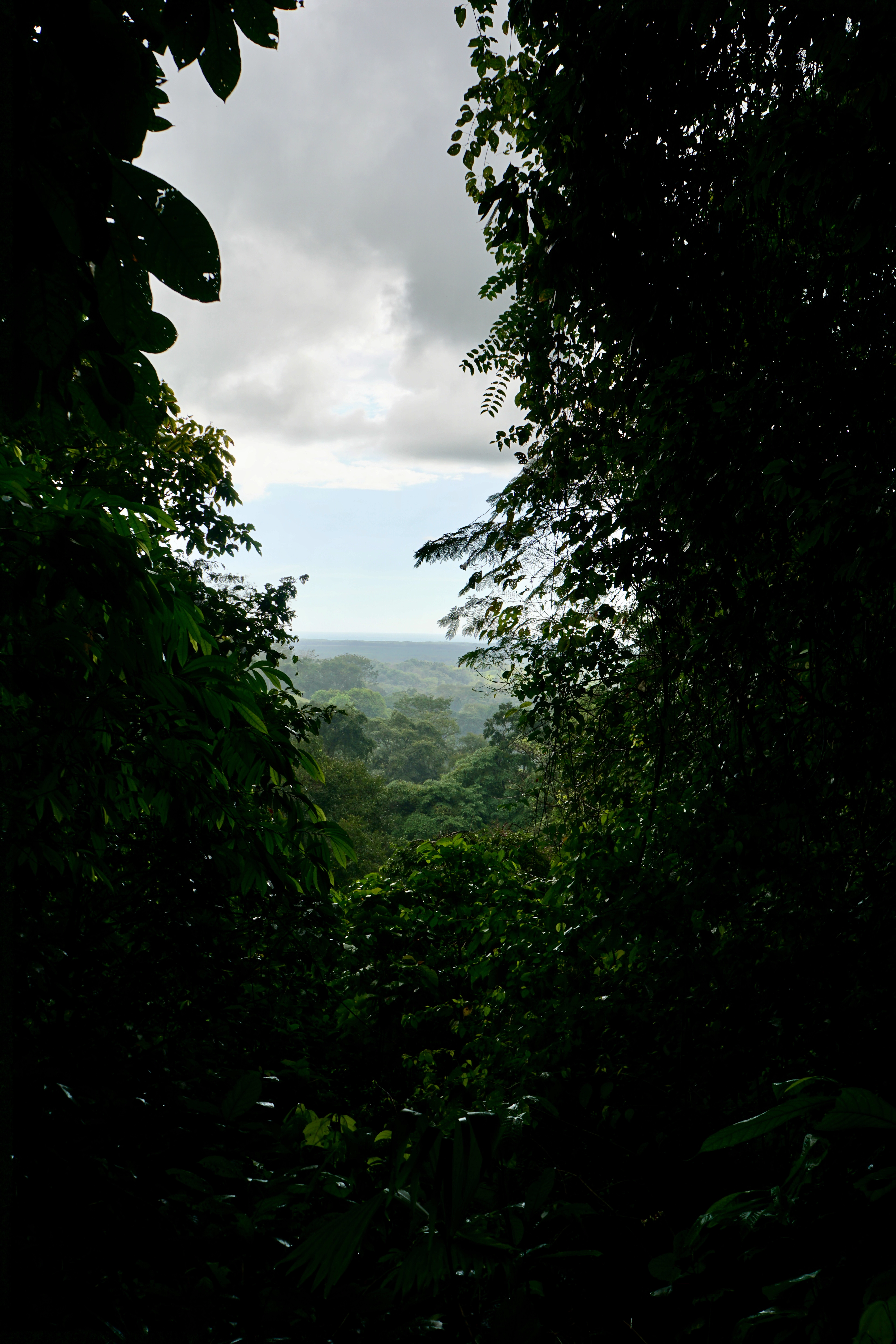 ISO 100 &nbsp 18mm &nbsp ƒ8 &nbsp 1/125s