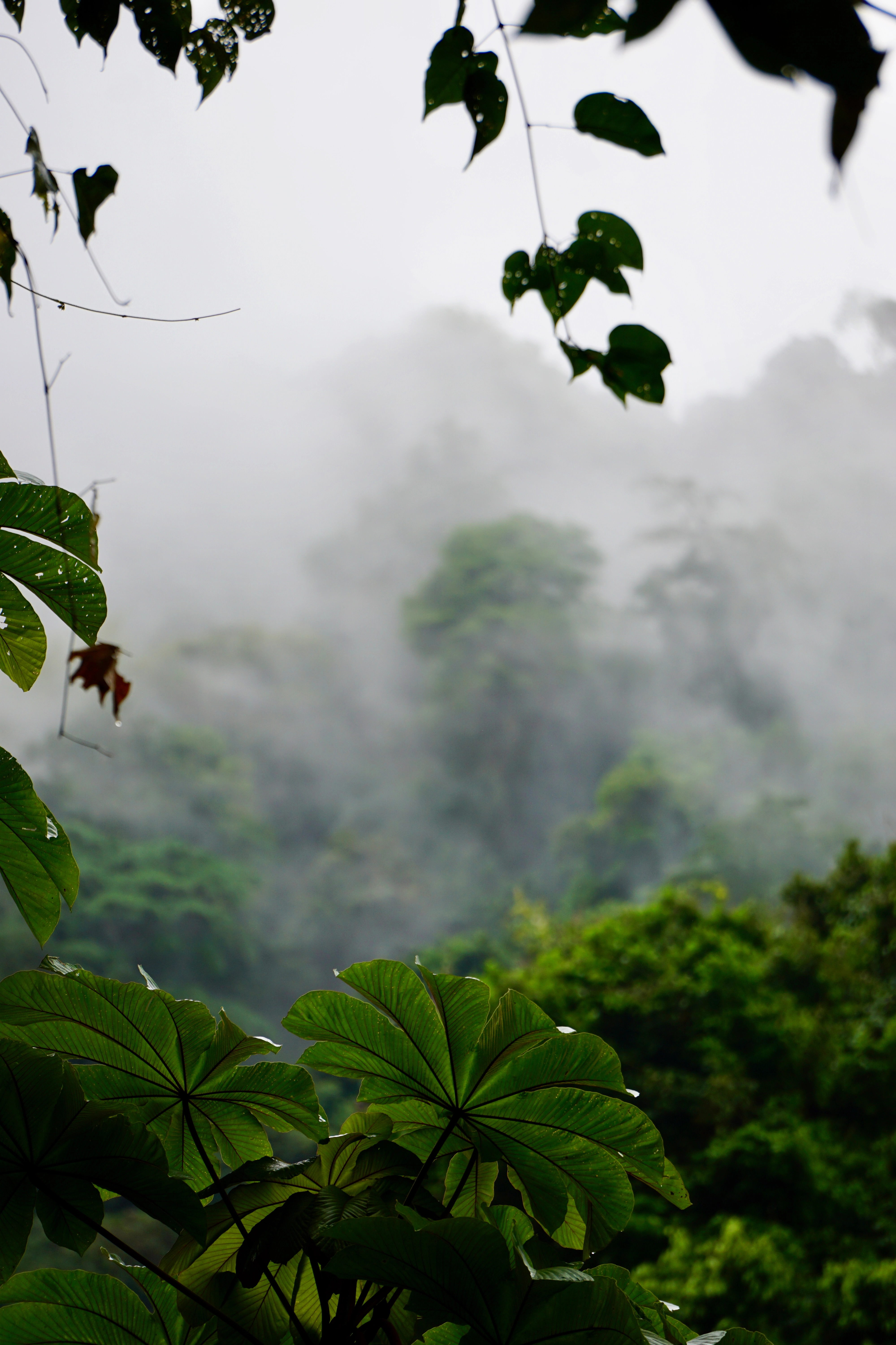 ISO 160 &nbsp 147mm &nbsp ƒ5.6 &nbsp 1/250s