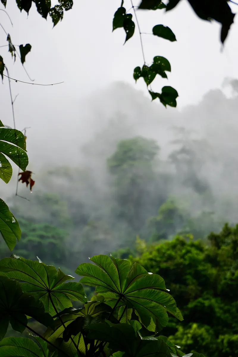 ISO 160 147mm ƒ5.6 250s