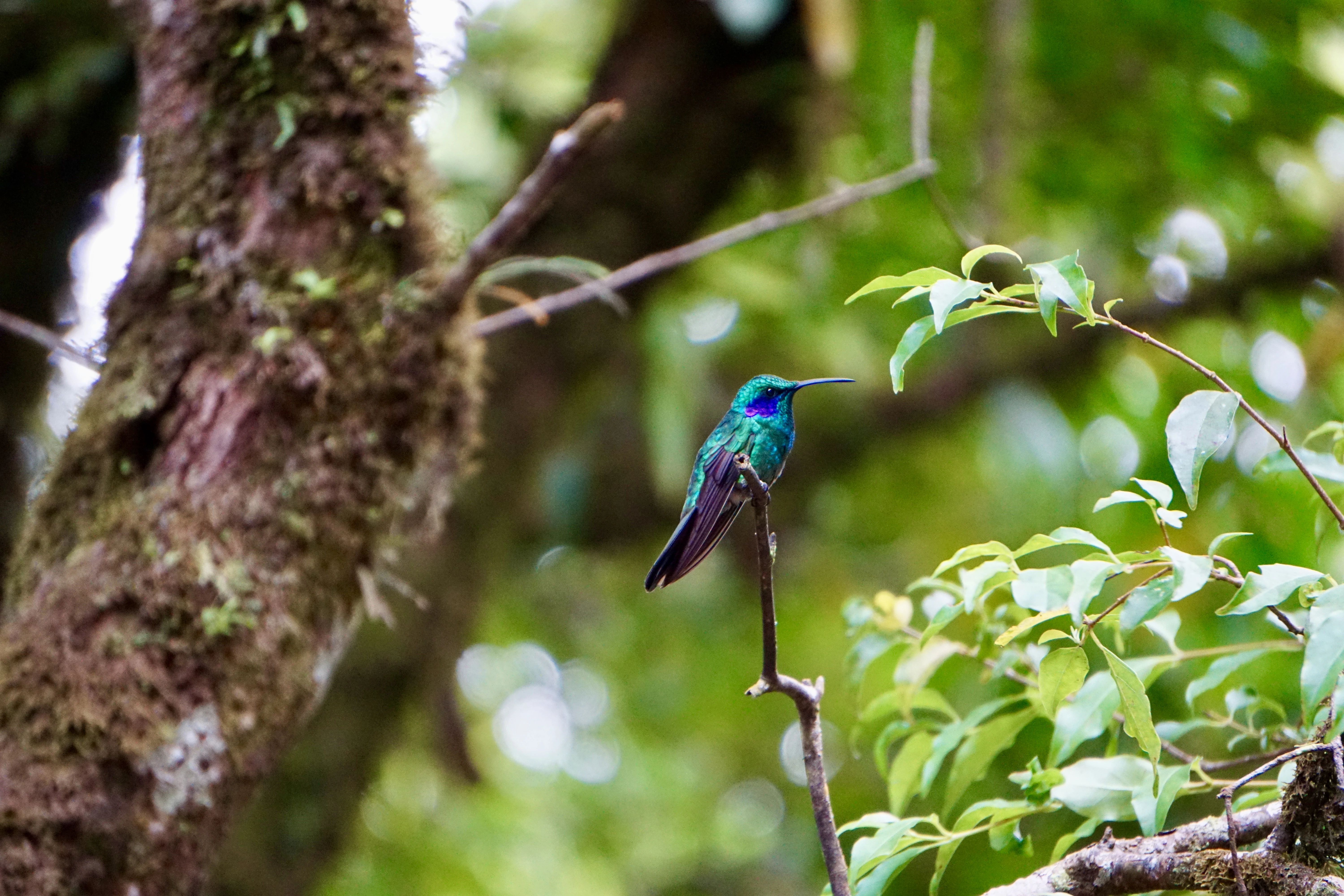 ISO 3200 206mm ƒ6.3 200s