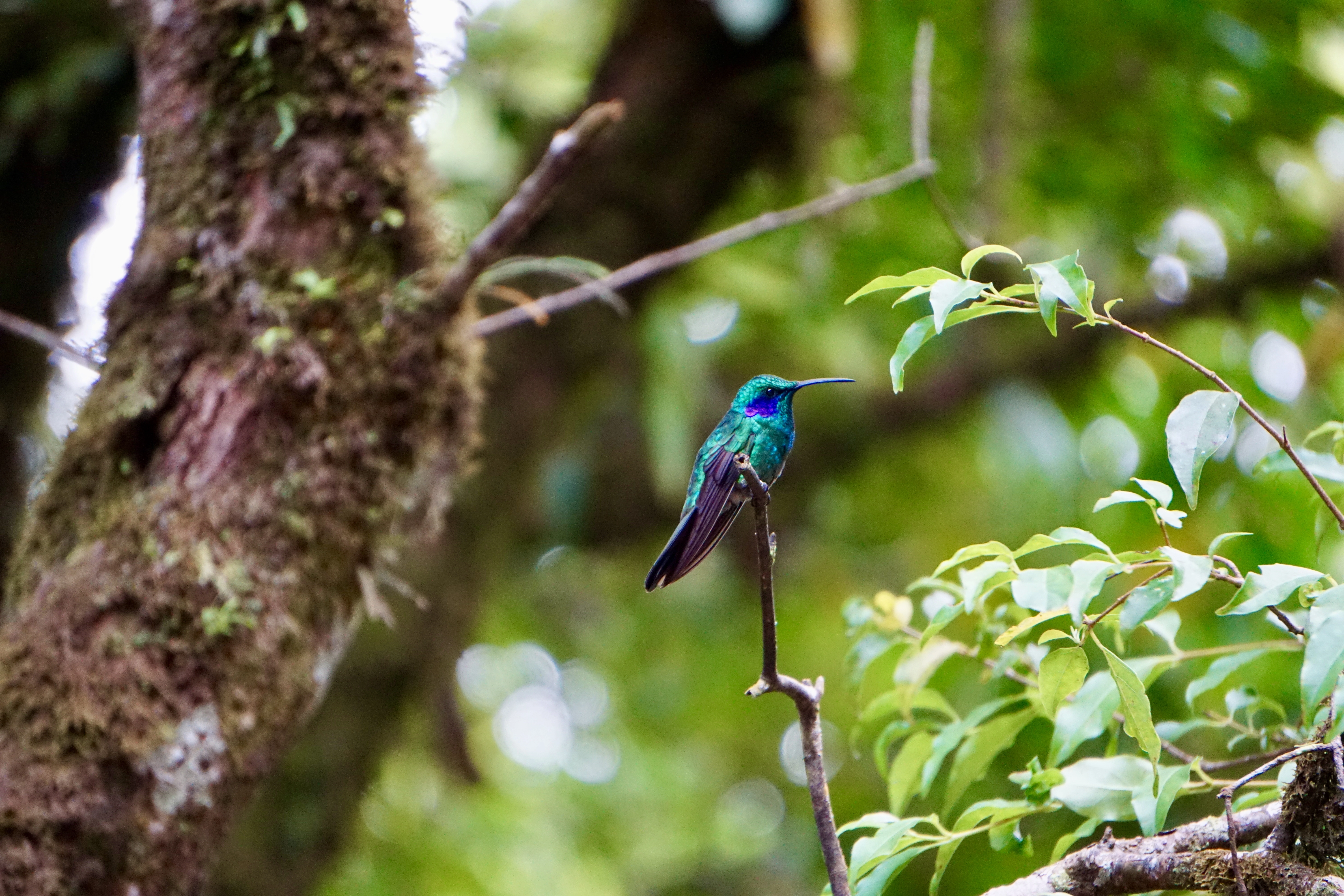 ISO 3200 &nbsp 206mm &nbsp ƒ6.3 &nbsp 1/200s