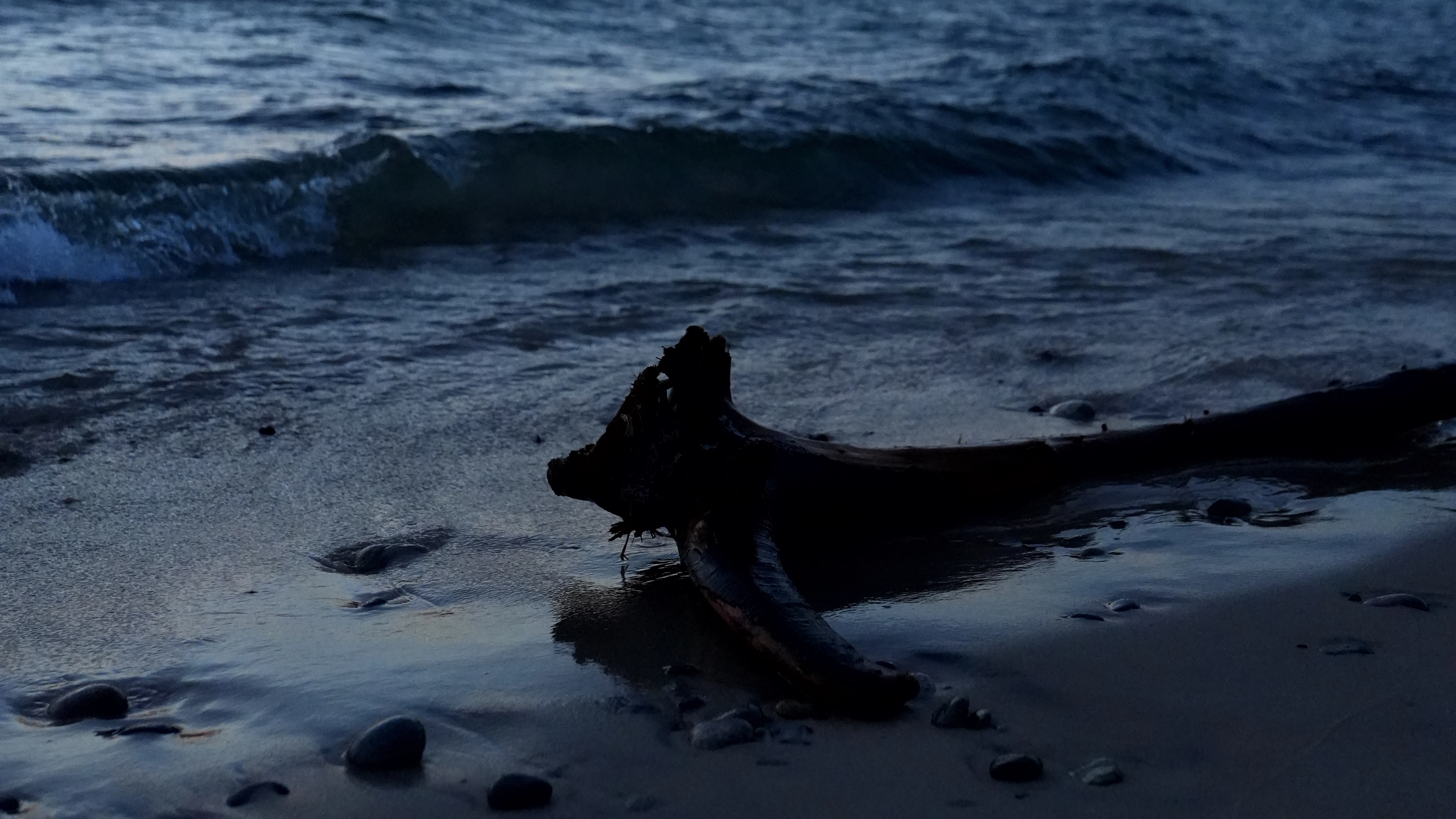 ISO 5000 &nbsp 33mm &nbsp ƒ2.8 &nbsp 1/1000s