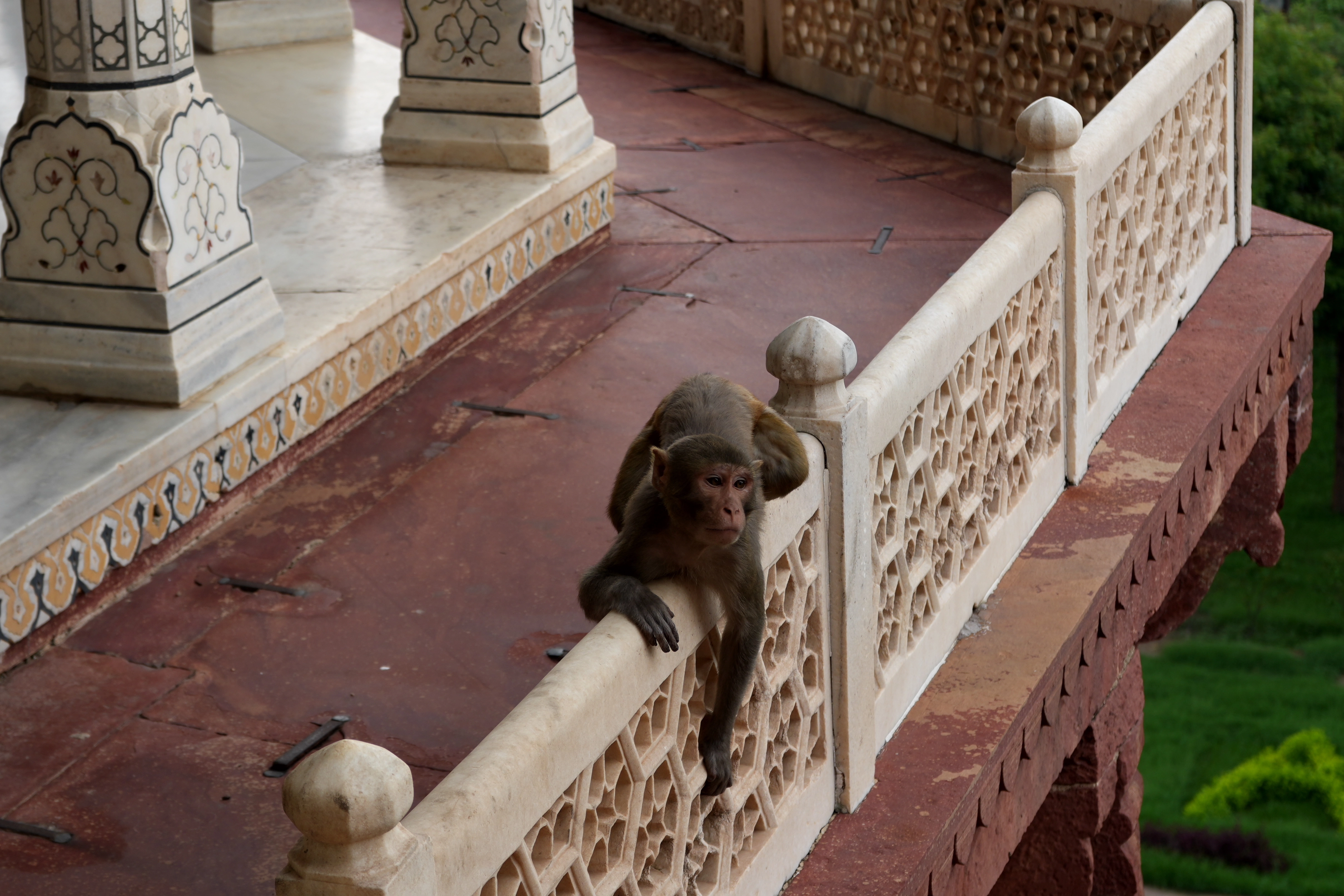 ISO 160 &nbsp 60mm &nbsp ƒ5.6 &nbsp 1/160s